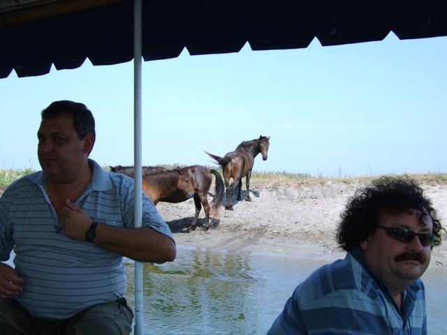 delta rosu 2007 - rosu-august-2007-010.JPG